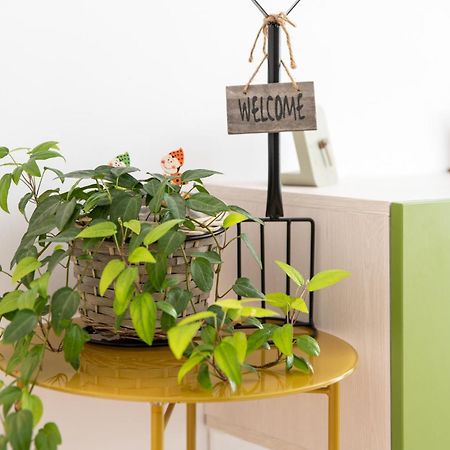 Springhome - Cozy Apartment With Balcony & Parking Braşov Exteriör bild