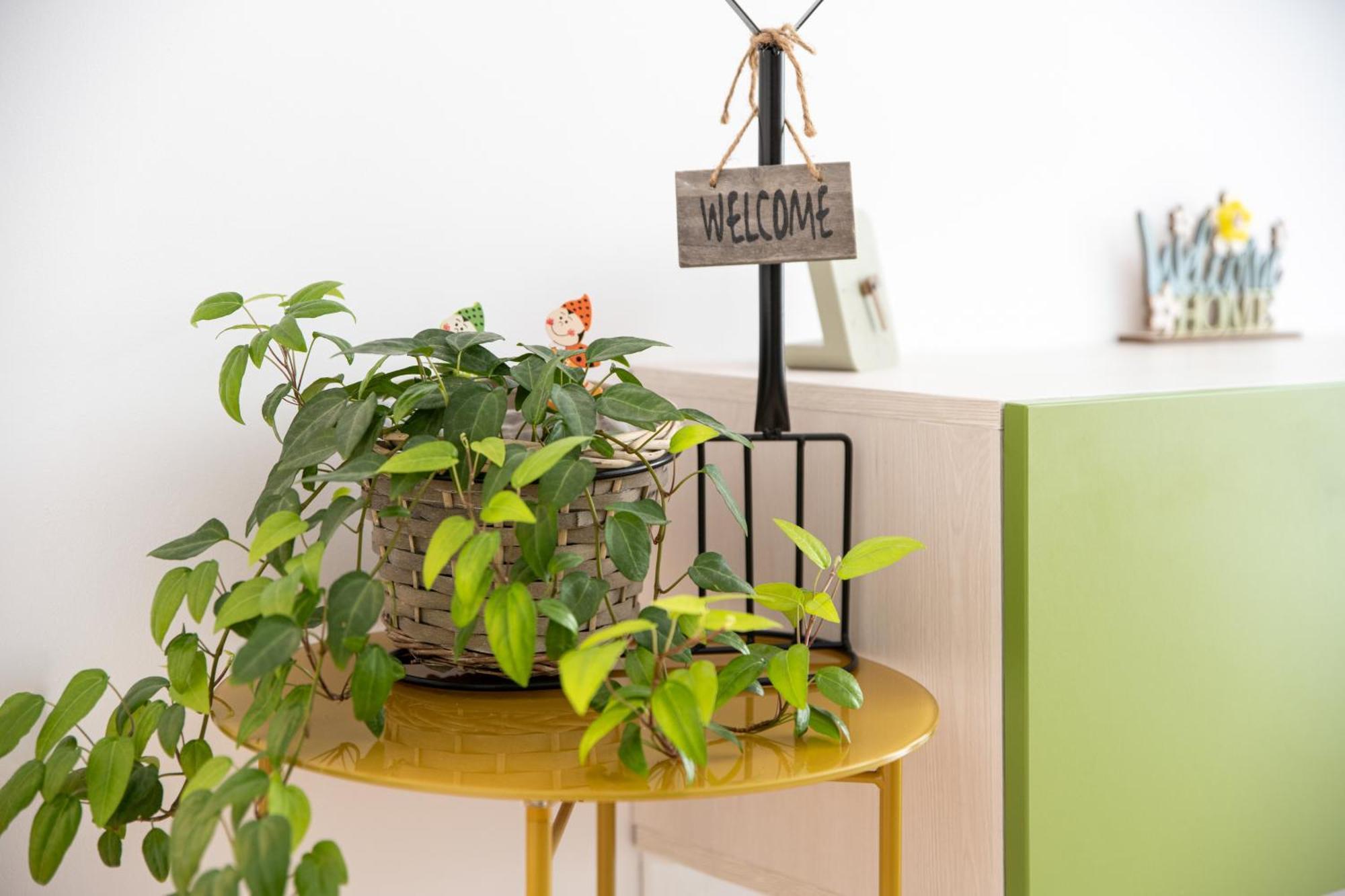 Springhome - Cozy Apartment With Balcony & Parking Braşov Exteriör bild
