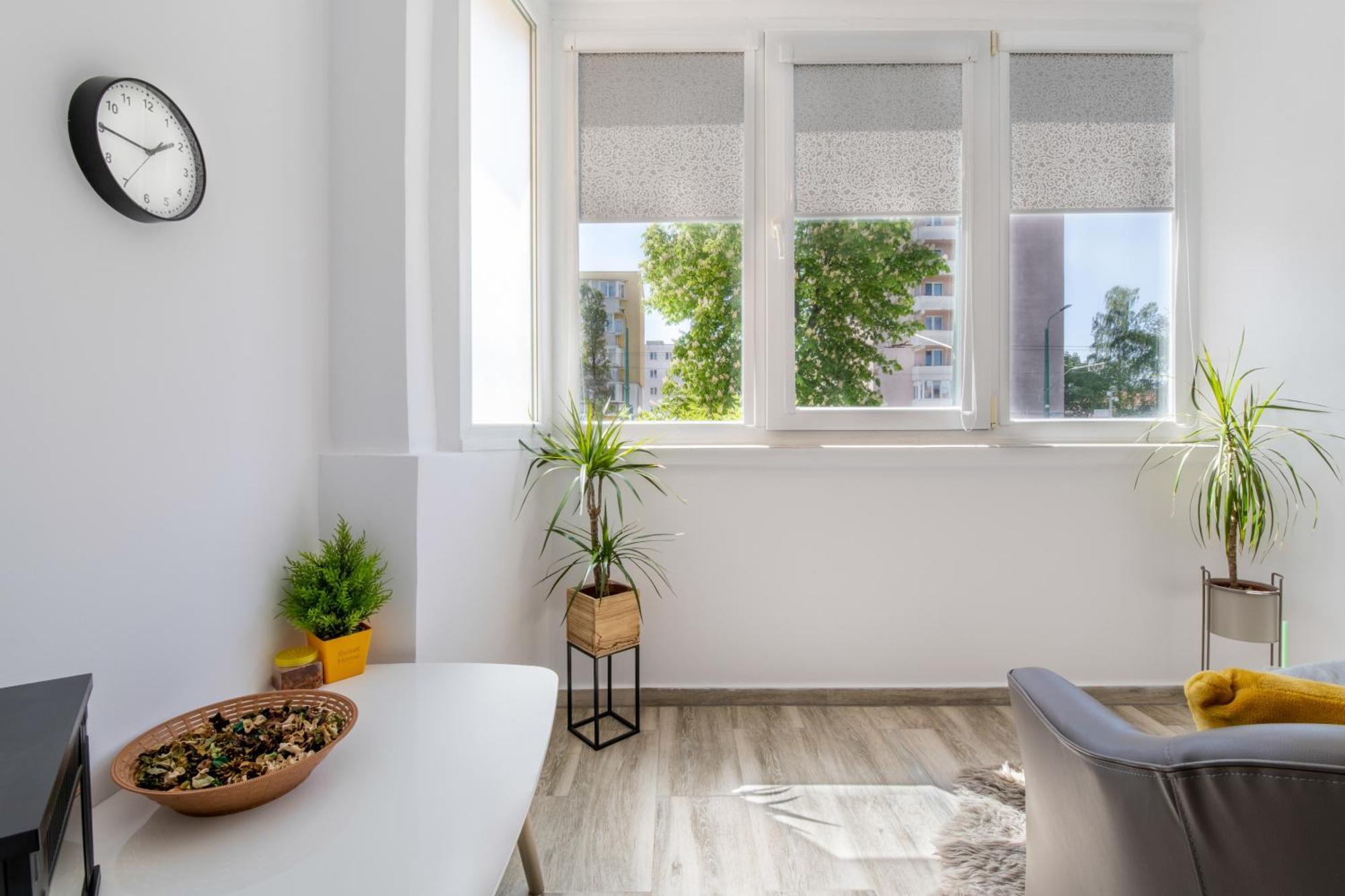 Springhome - Cozy Apartment With Balcony & Parking Braşov Exteriör bild